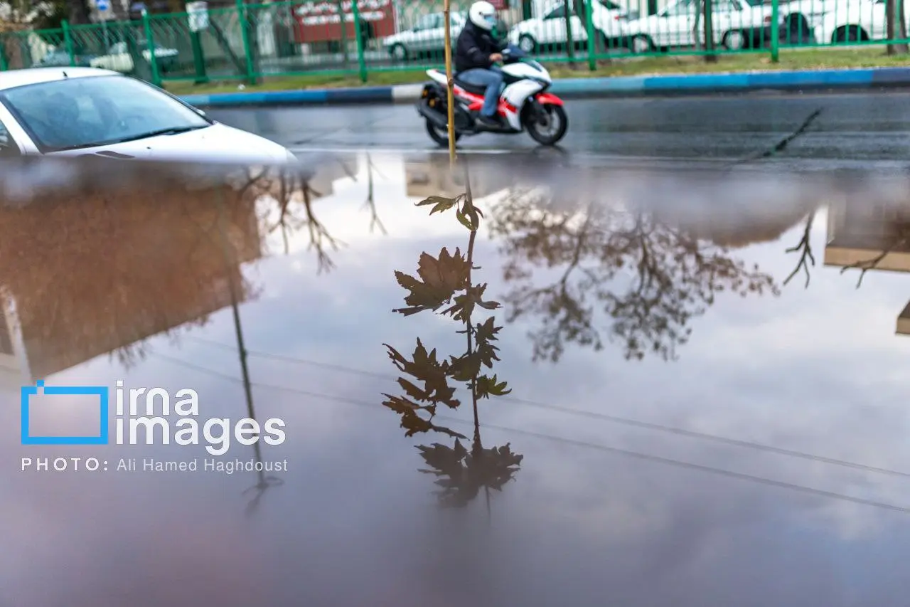 photo_2025-11-17_00-16-23