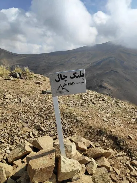پلنگ تهرانی