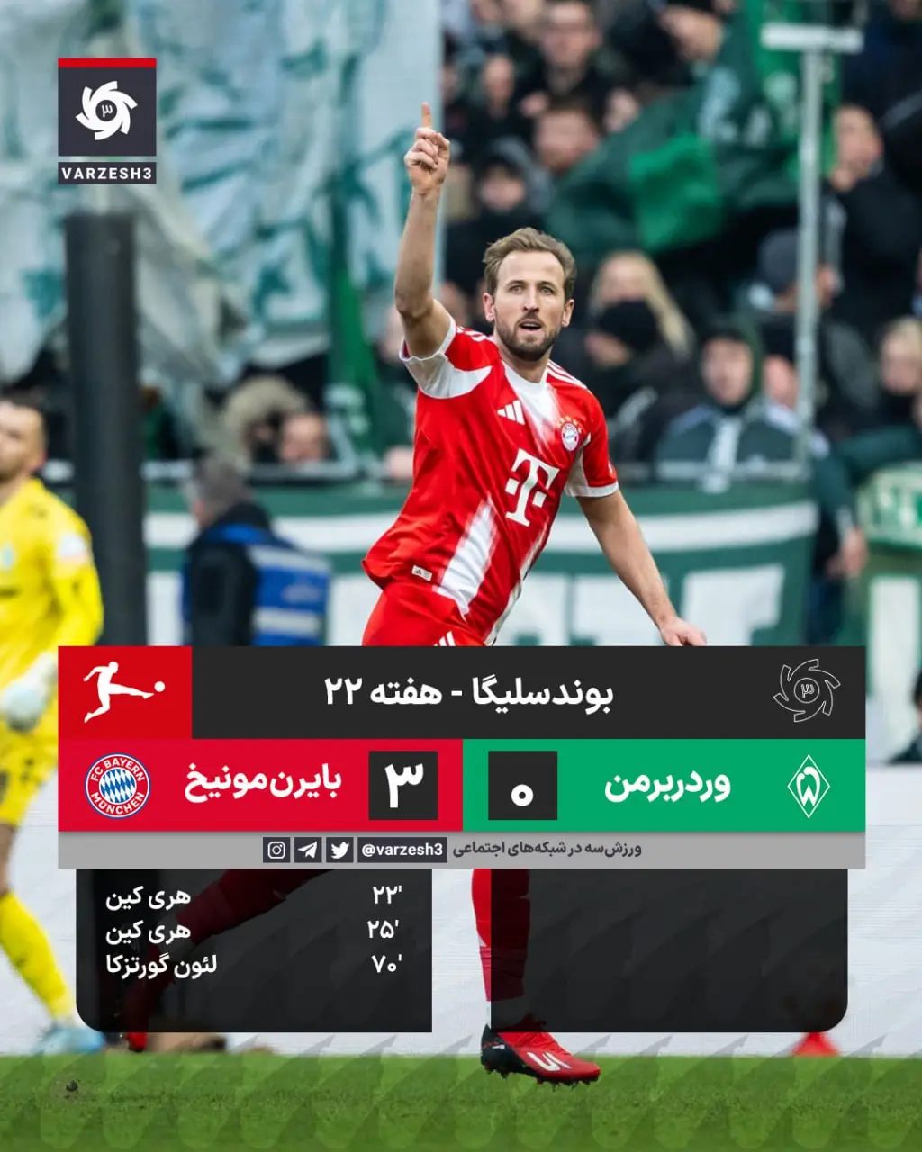 photo_2026-02-14_20-29-08