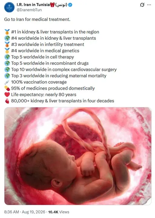 63941066