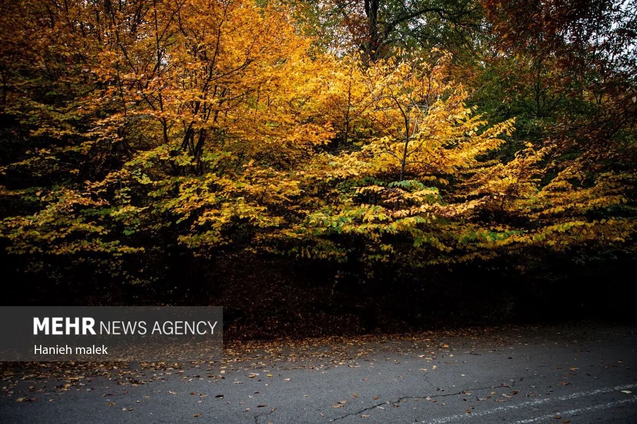 photo_2025-12-18_00-13-54