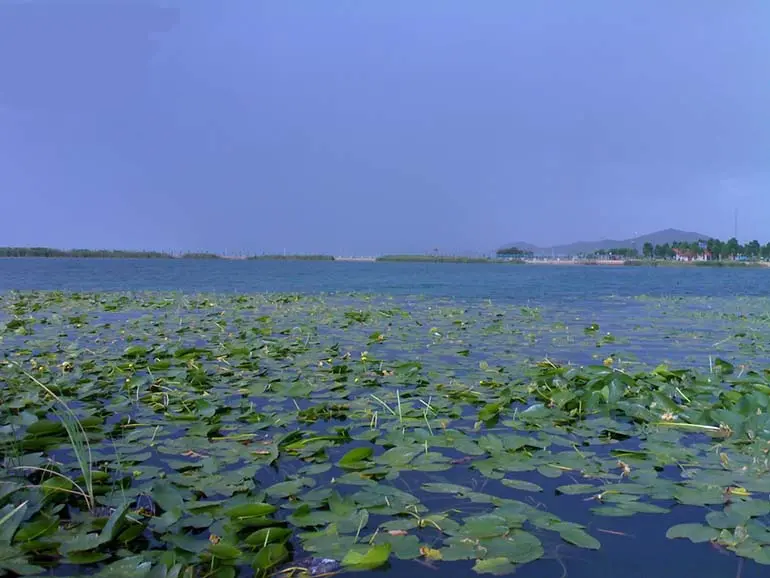 سراب