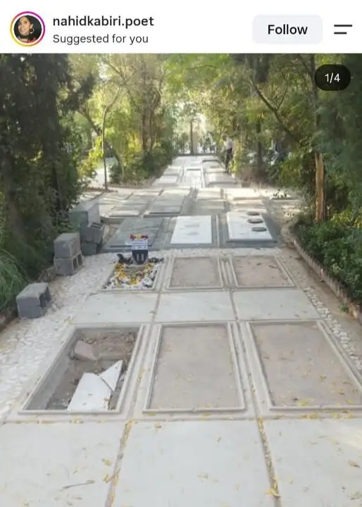 64029764