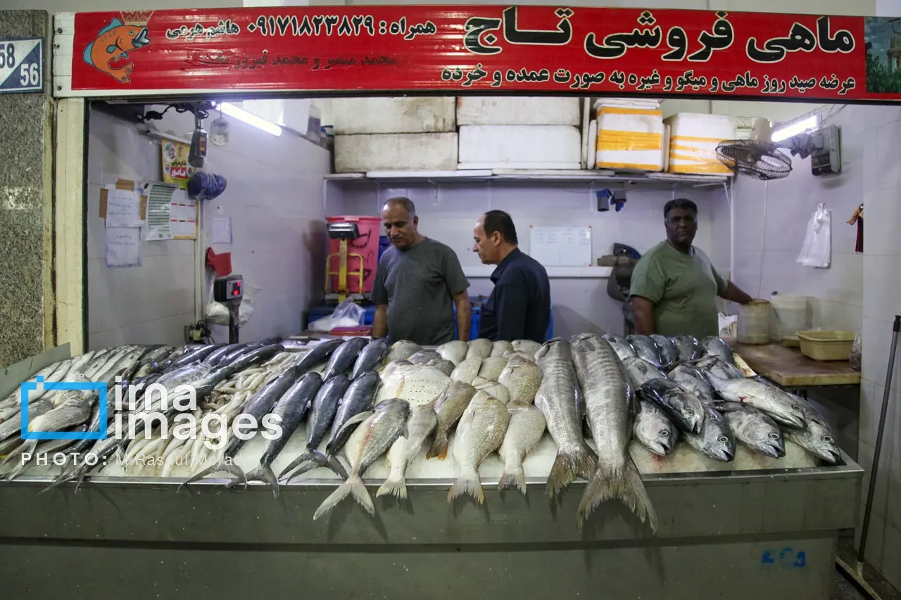 بندر عباس
