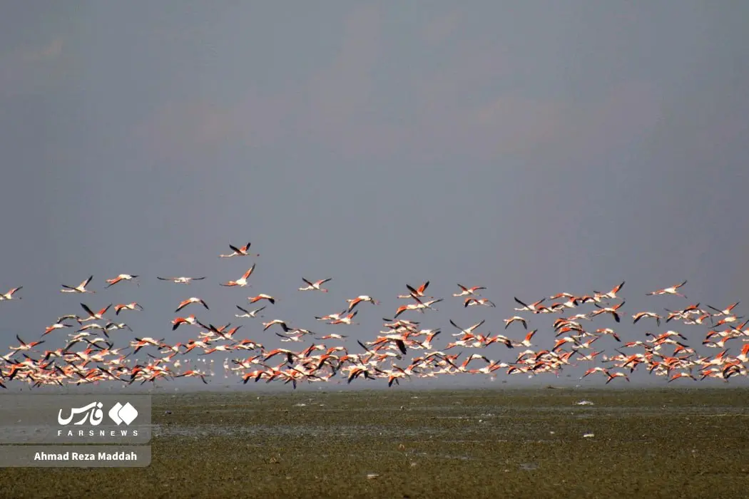 photo_2025-12-19_21-59-59