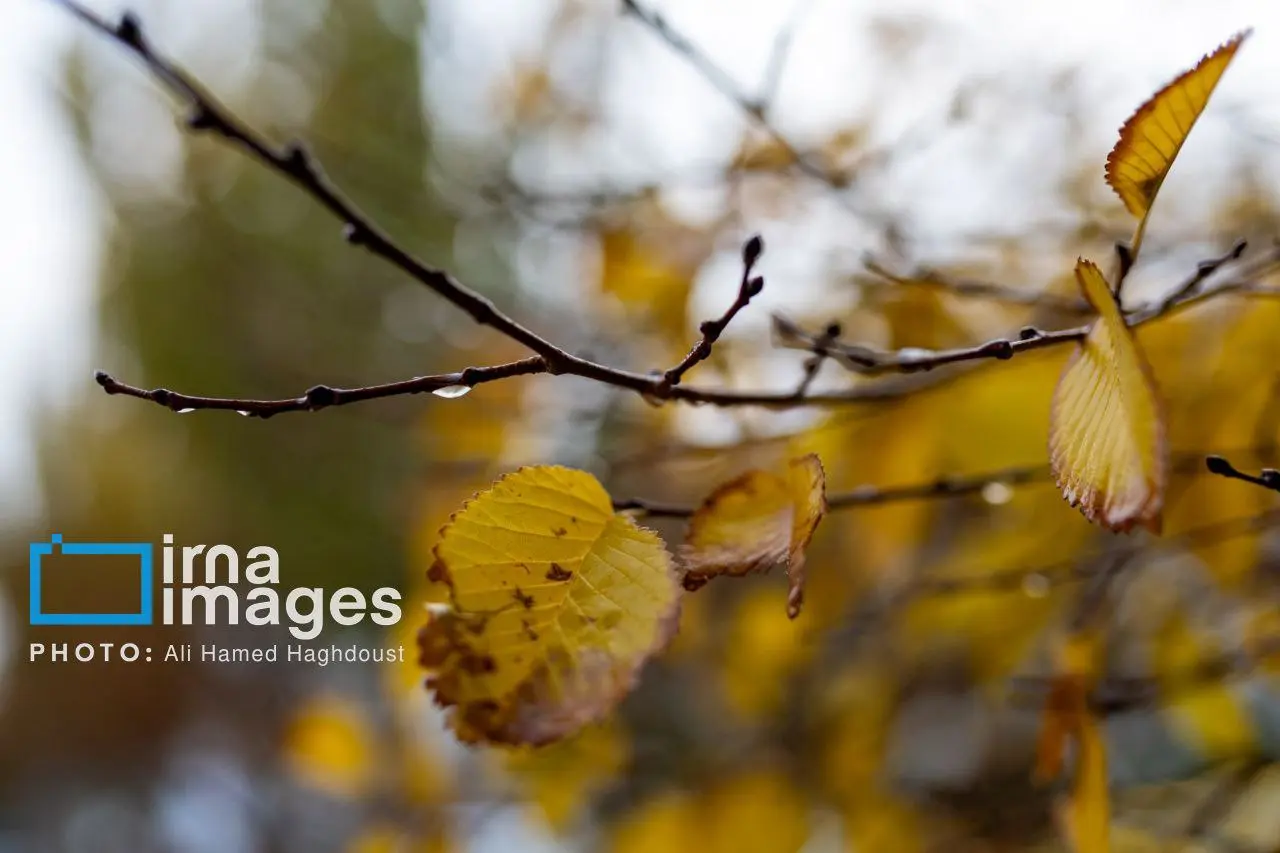 photo_2025-11-17_00-16-19