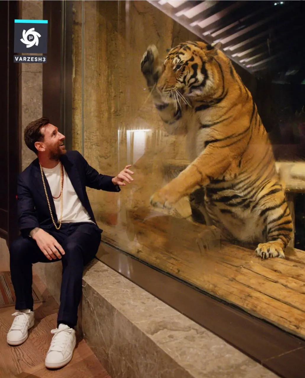 photo_2025-12-16_20-12-16