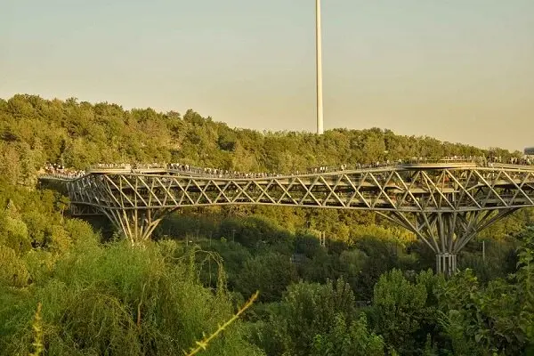 4992084