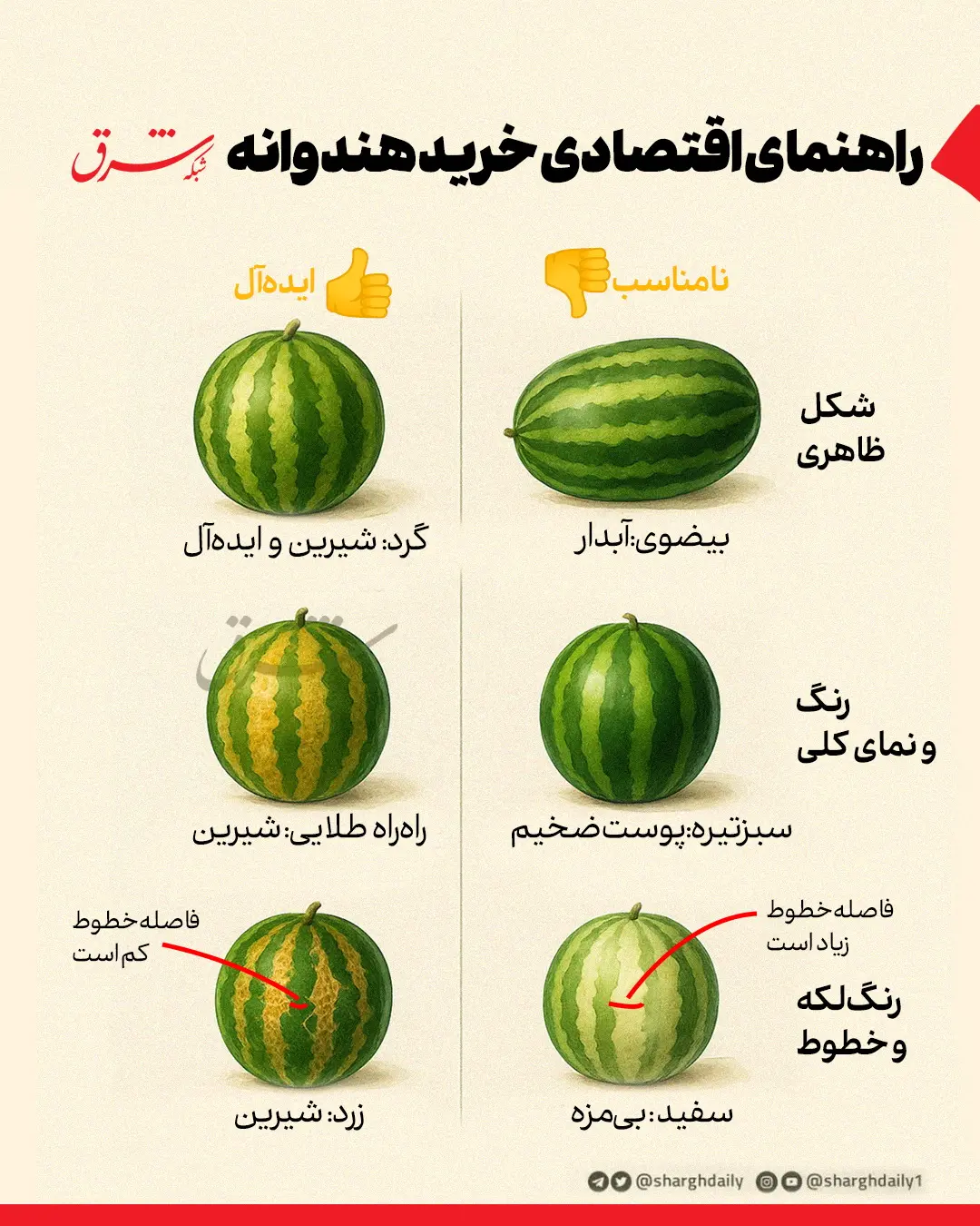 اینفوگرافی راهنمای اقتصادی خرید هندوانه