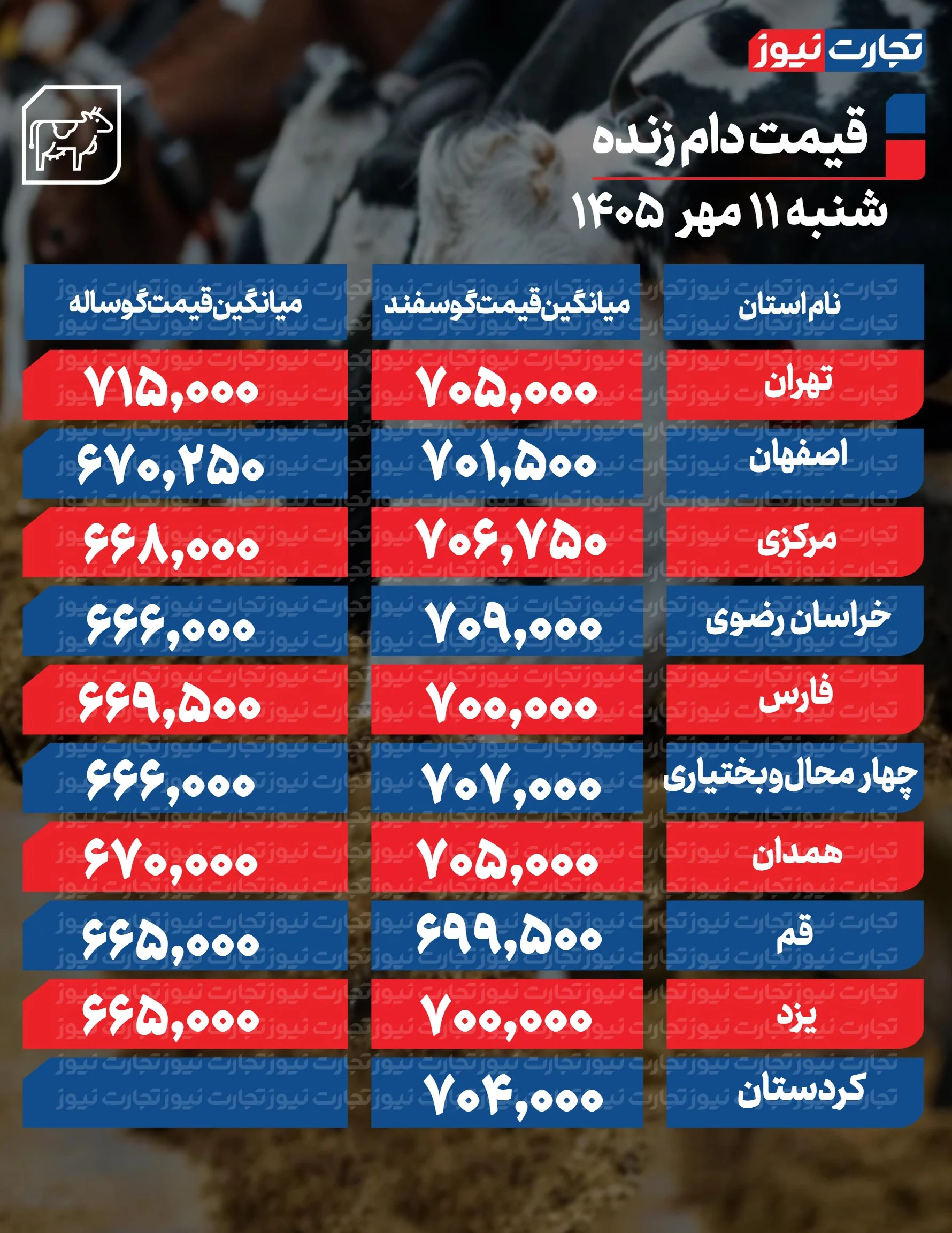 دام زنده