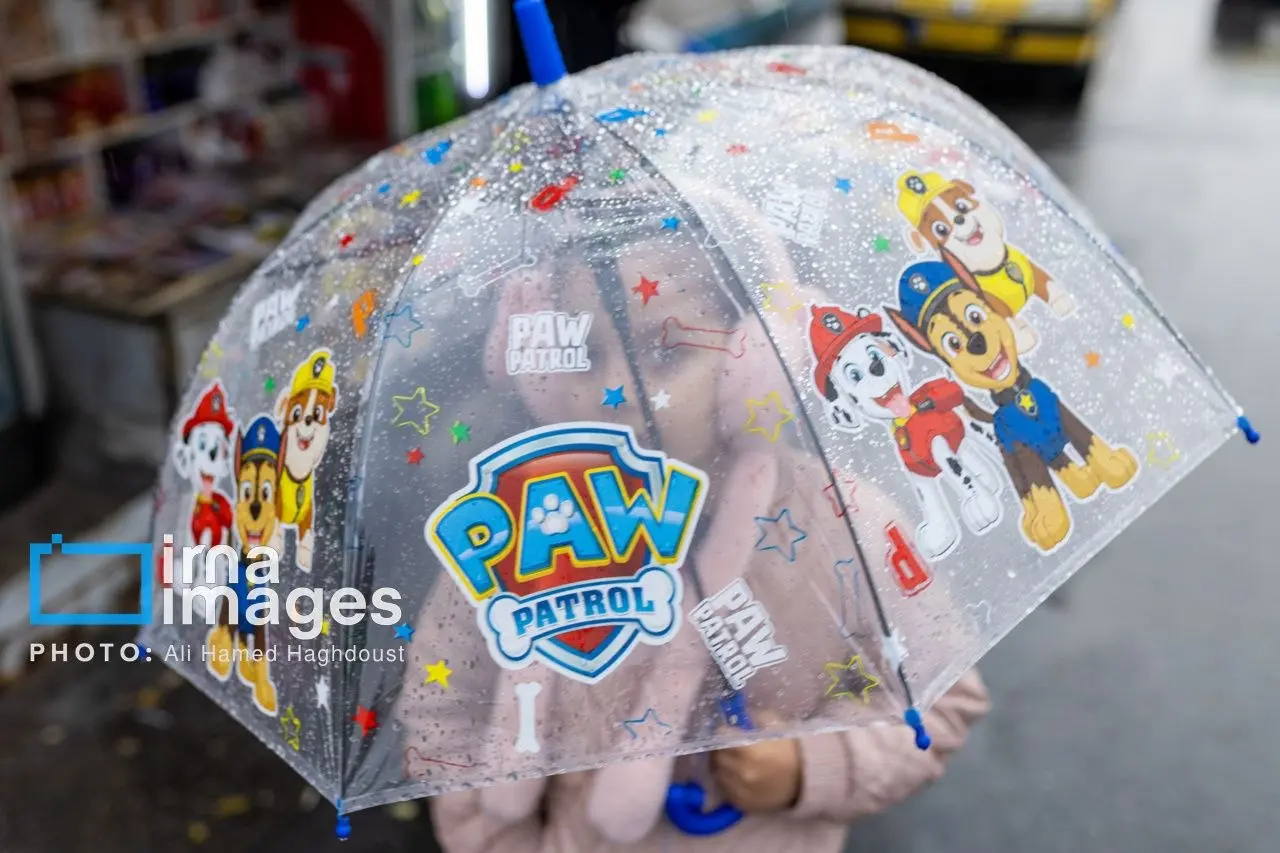 photo_2025-11-17_00-16-02