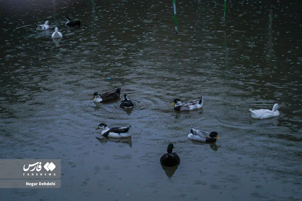 photo_2025-12-09_23-53-03