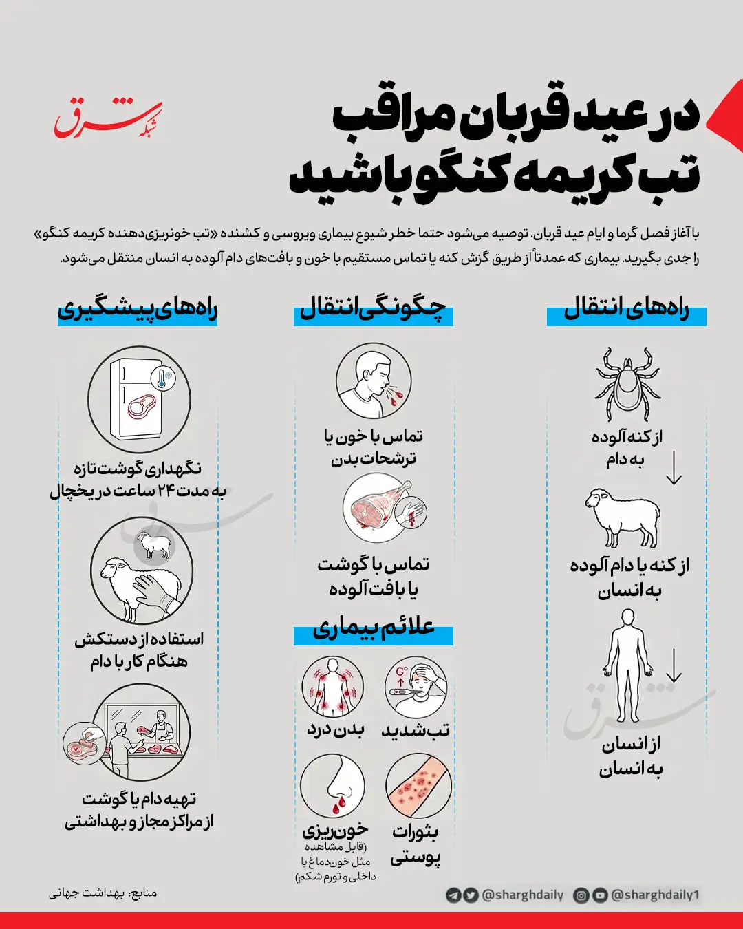در عید قربان مراقب تب کریمه کنگو باشید + اینفوگرافی