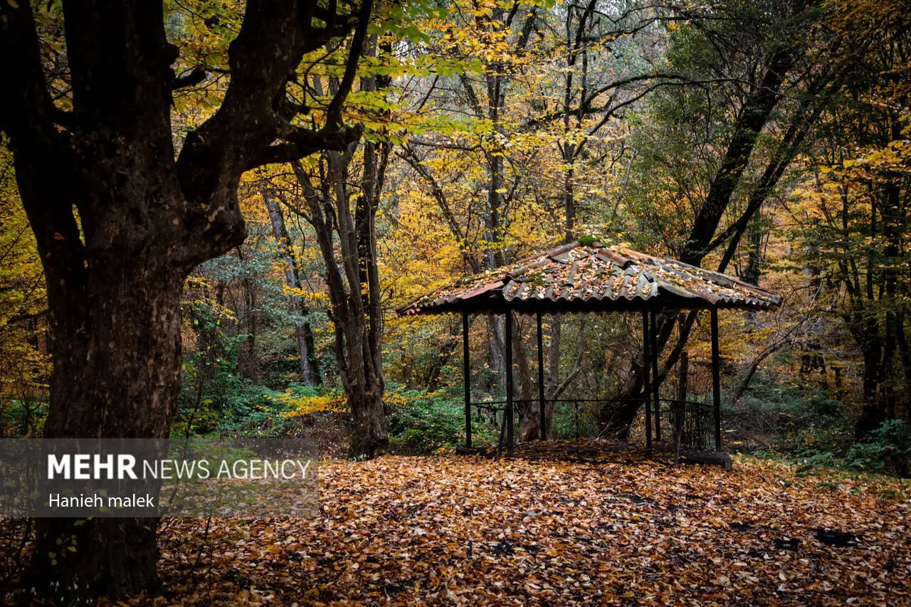 photo_2025-12-18_00-13-47