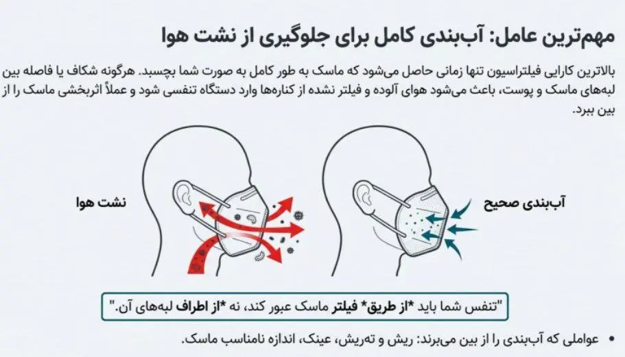 5850413045853654011 (1)