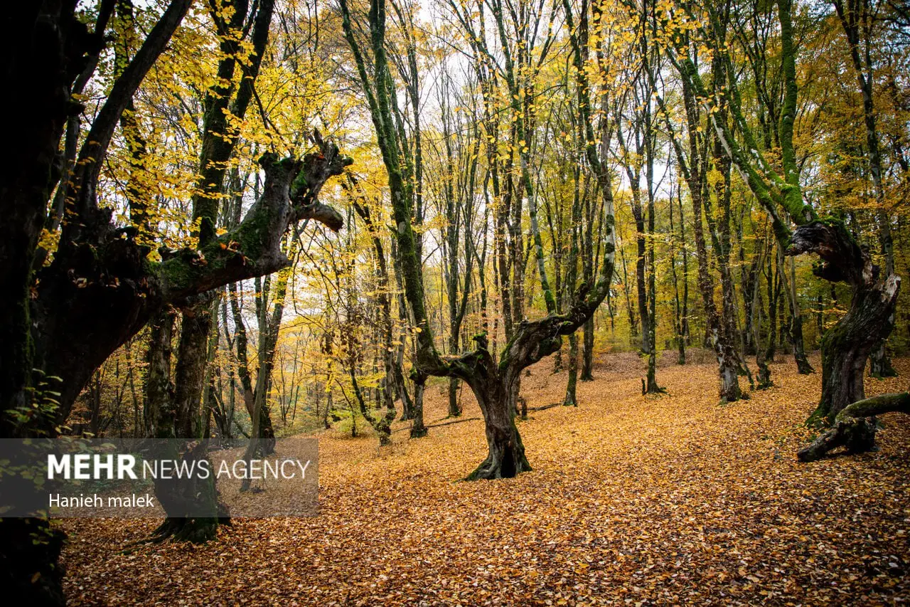 photo_2025-12-18_00-13-57