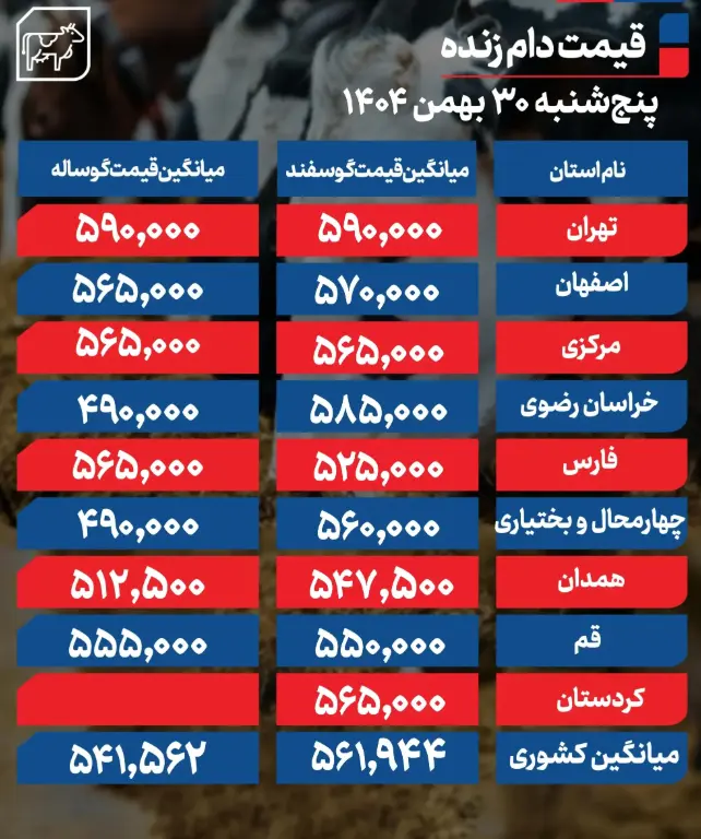 Screenshot 2026-02-19 100302