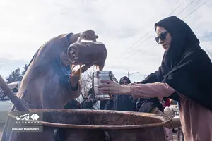 182c493770534cf48350409d6a01c4e4