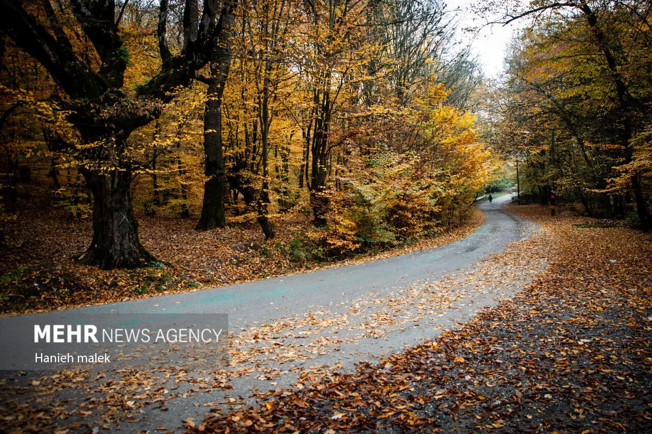 photo_2025-12-18_00-13-50