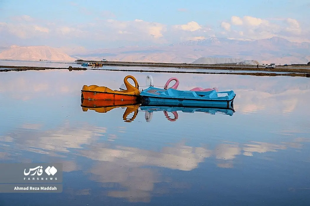 photo_2025-12-19_22-00-03