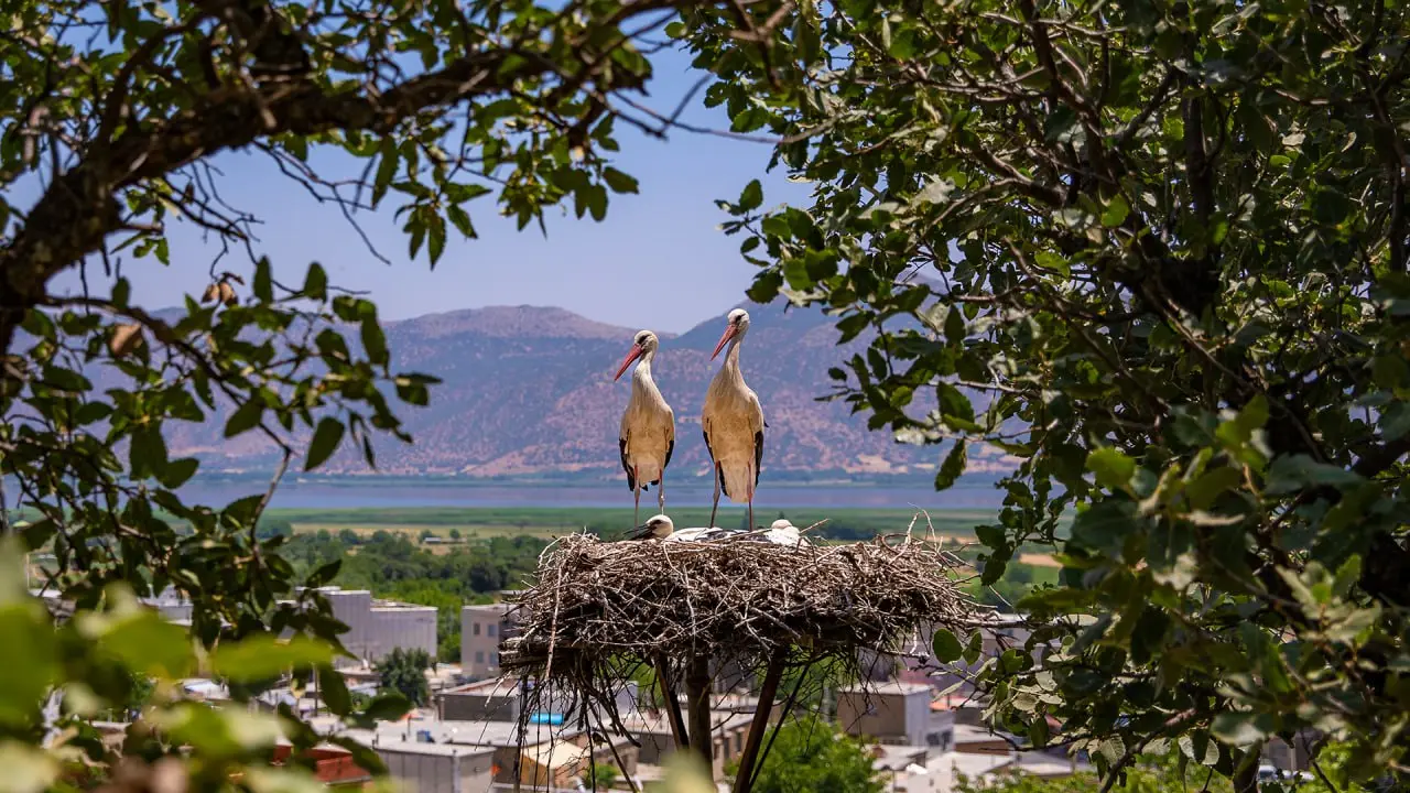 photo_2025-11-25_14-40-43 (2)