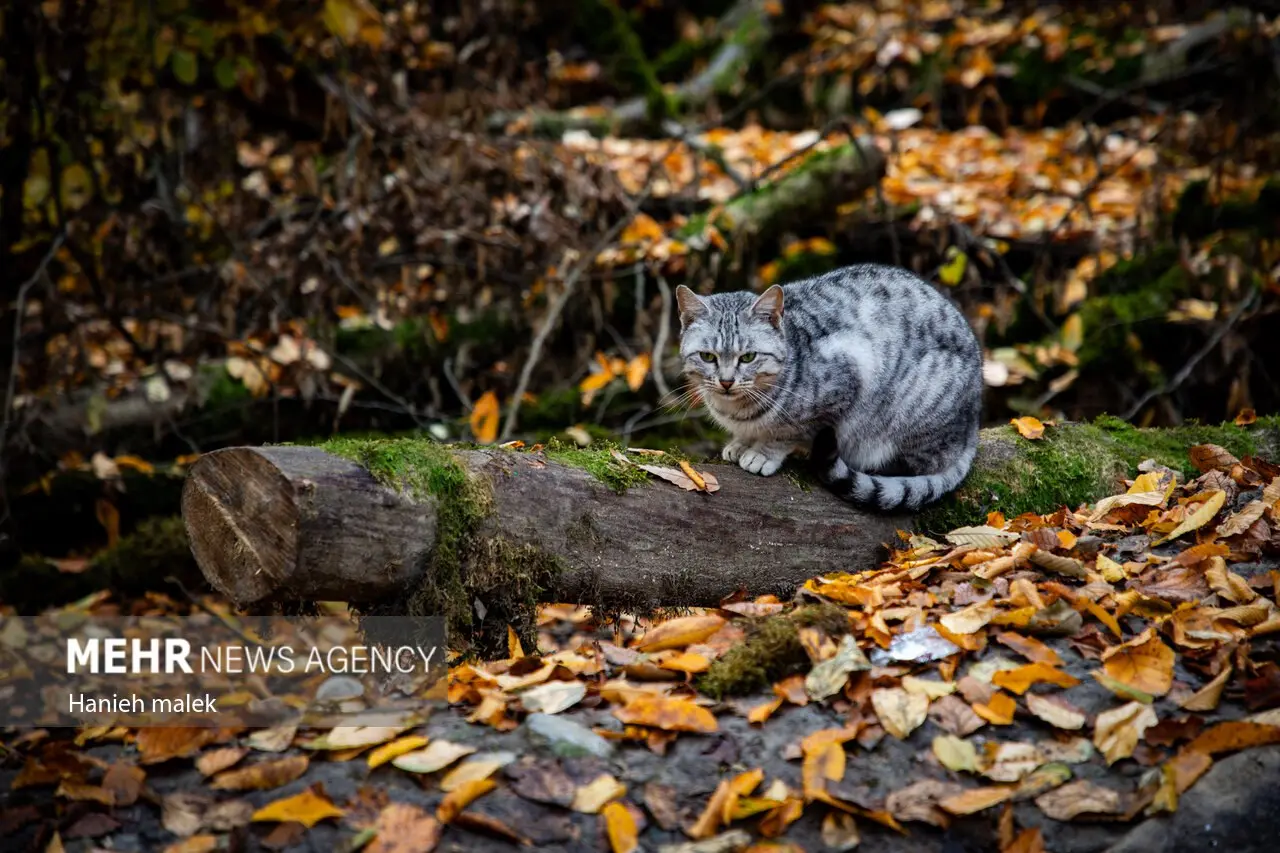 photo_2025-12-18_00-13-43