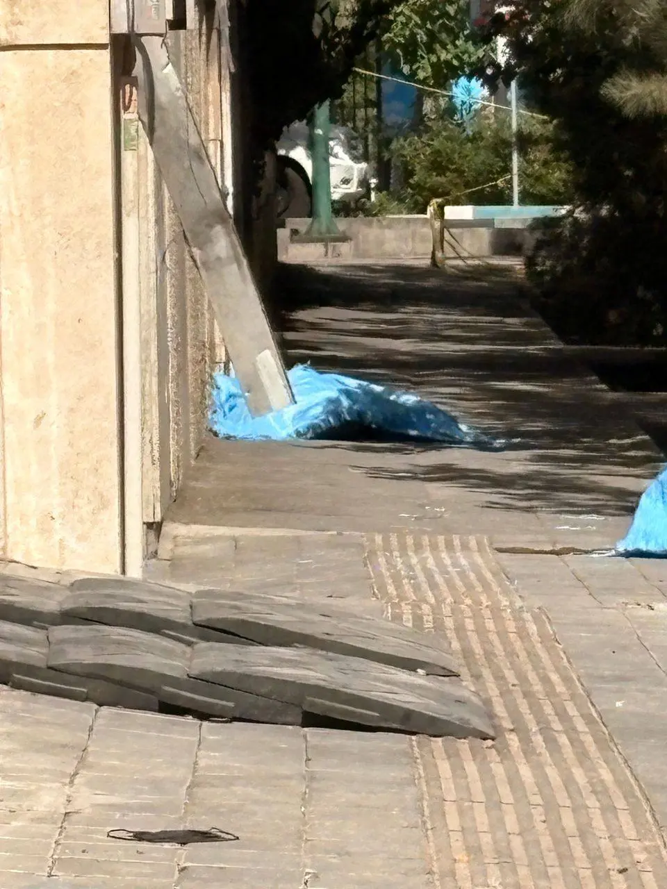 بخشی از جسد مادر