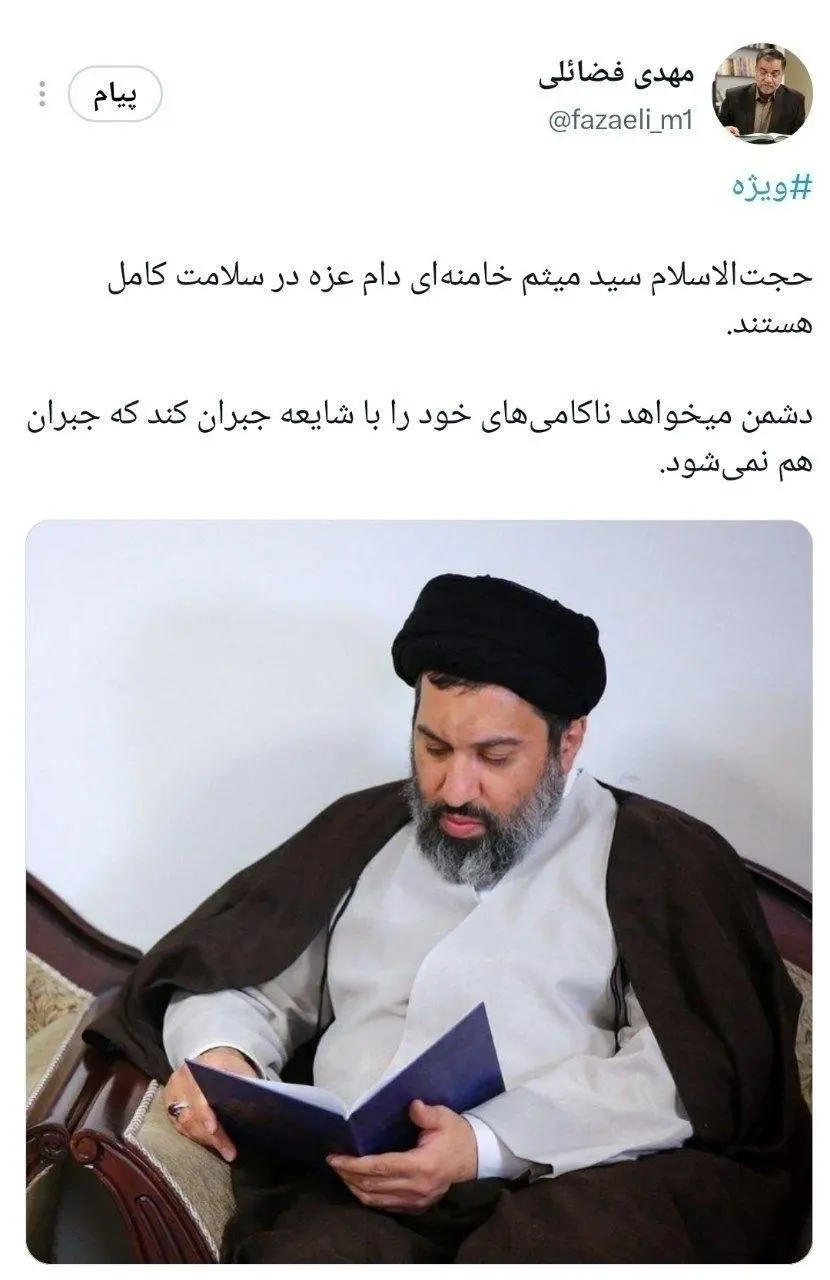 سید میثم خامنه ای