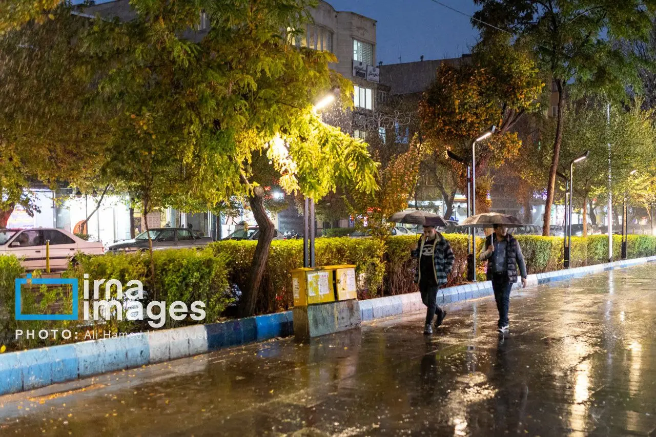 photo_2025-11-17_00-16-27