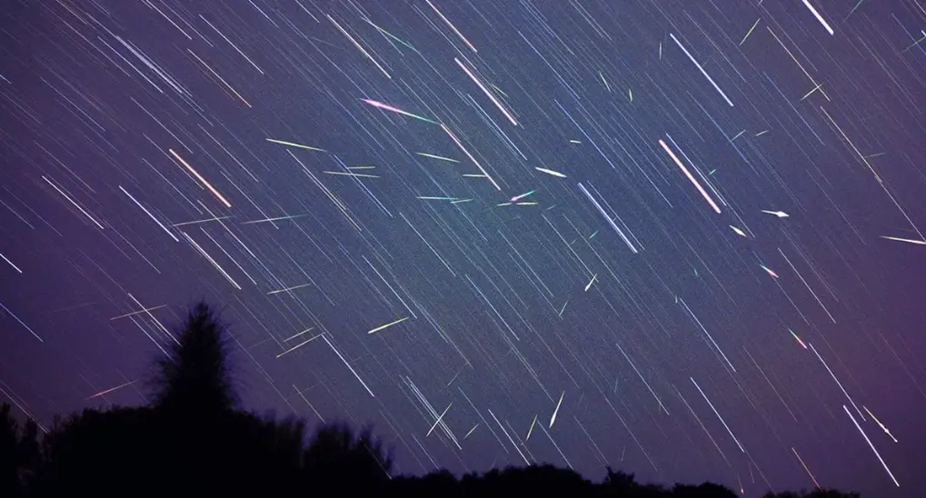 Screenshot 2025-11-17 145229