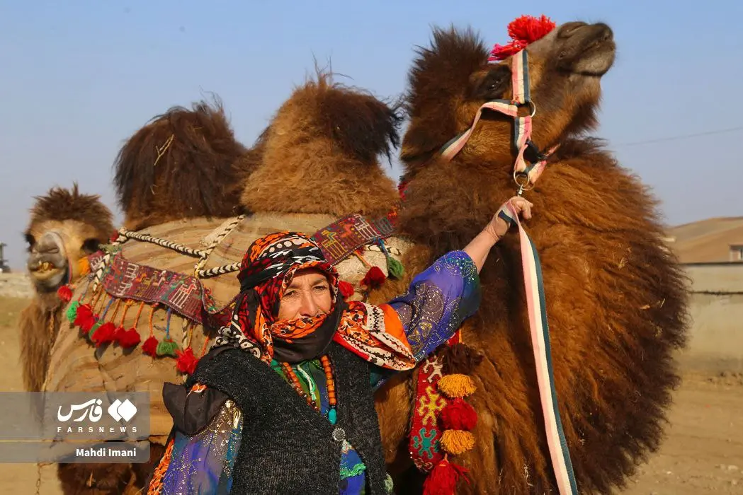 photo_2025-11-28_19-14-58