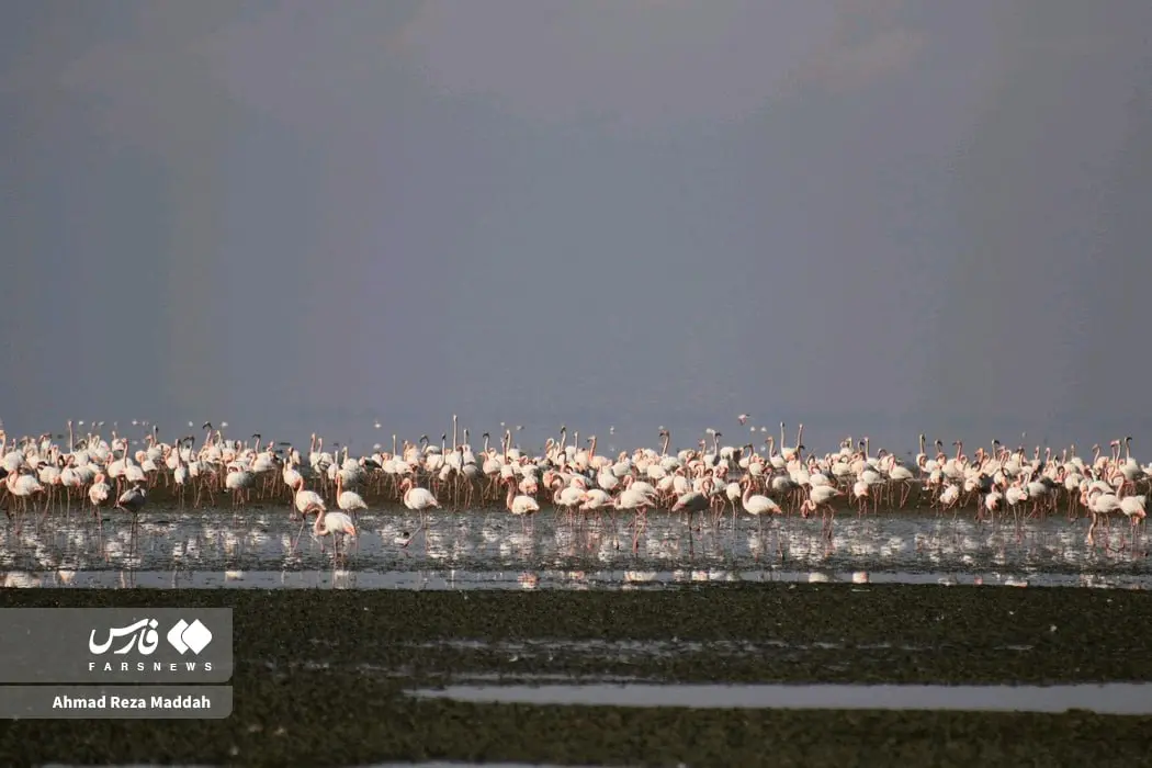 photo_2025-12-19_22-00-09