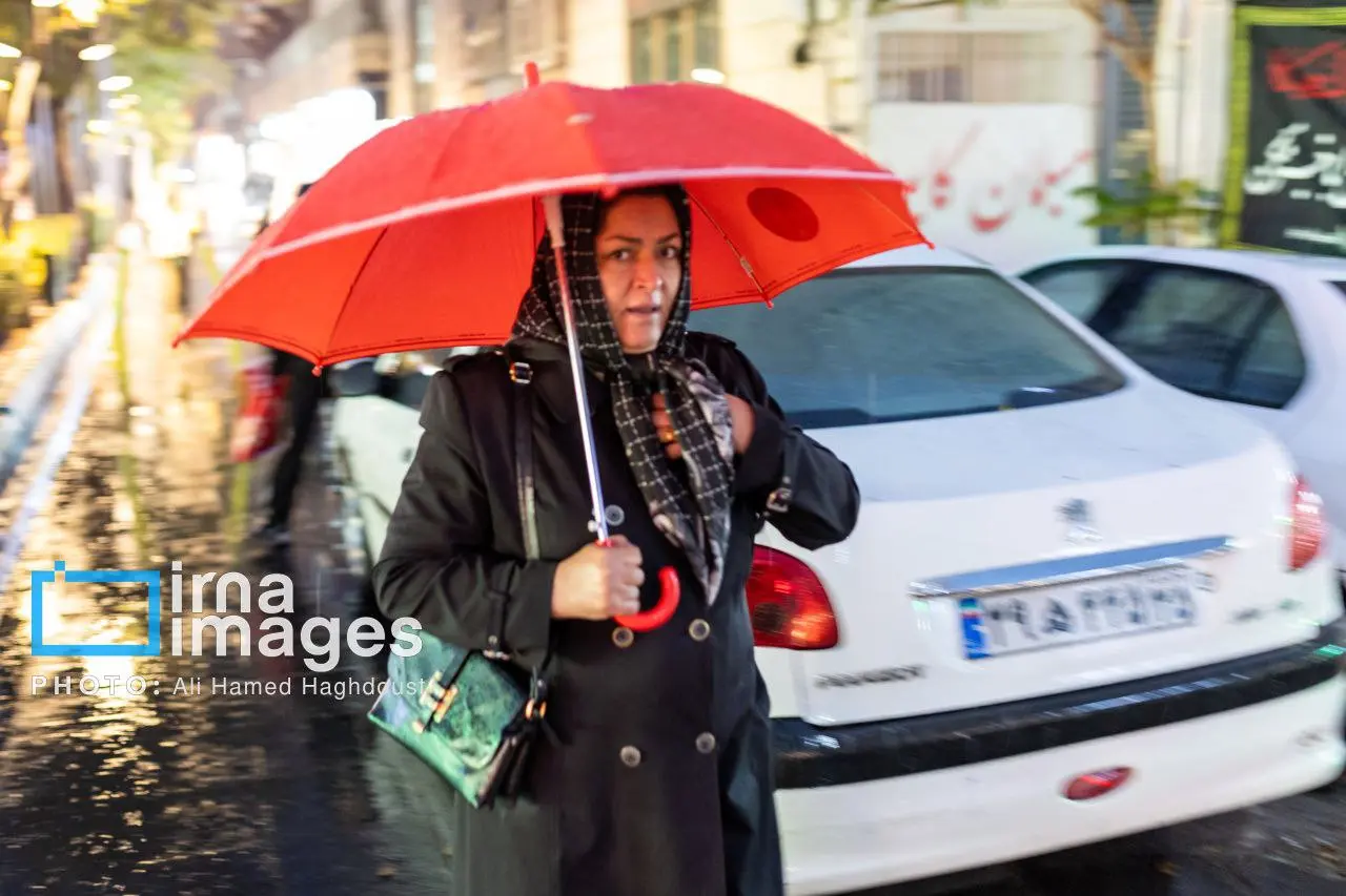 photo_2025-11-17_00-16-05