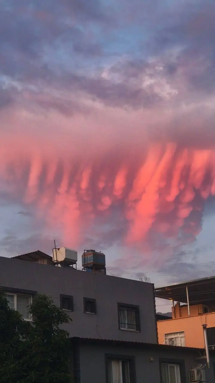 photo_2025-11-13_00-14-30