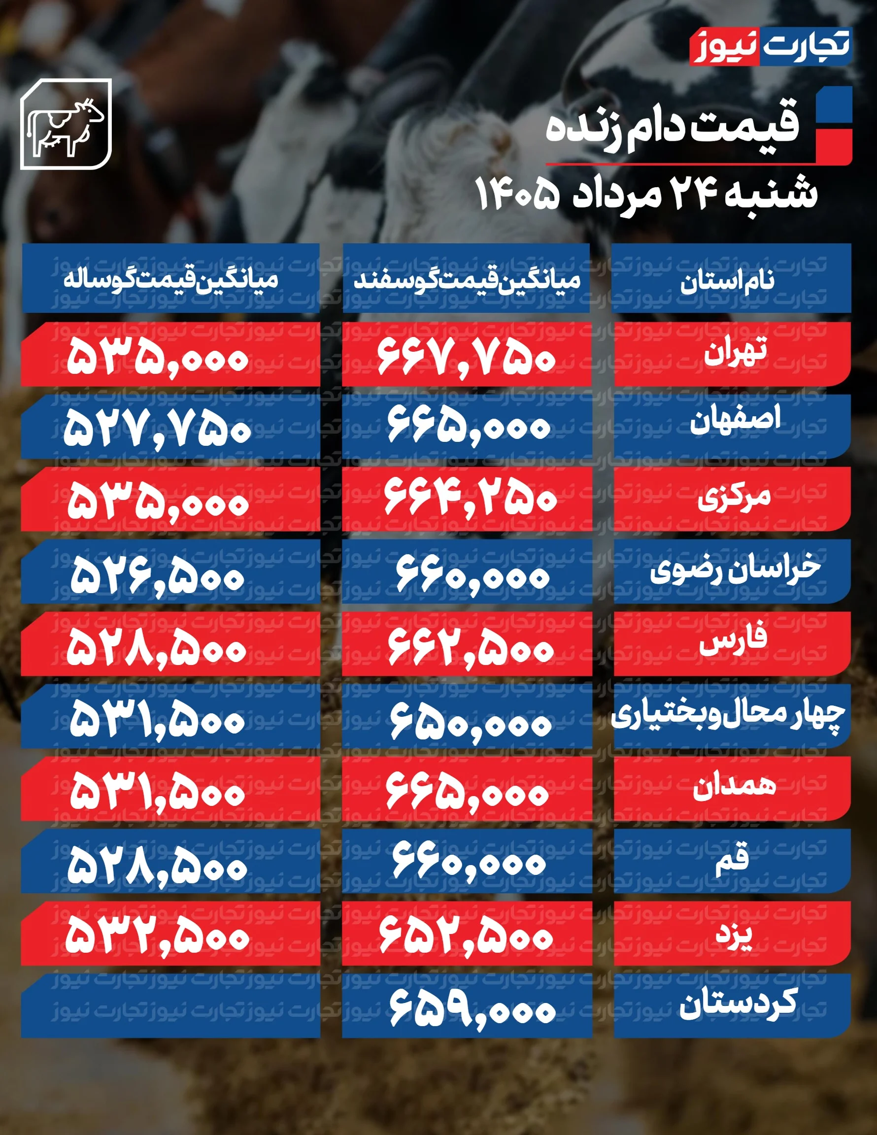 دام