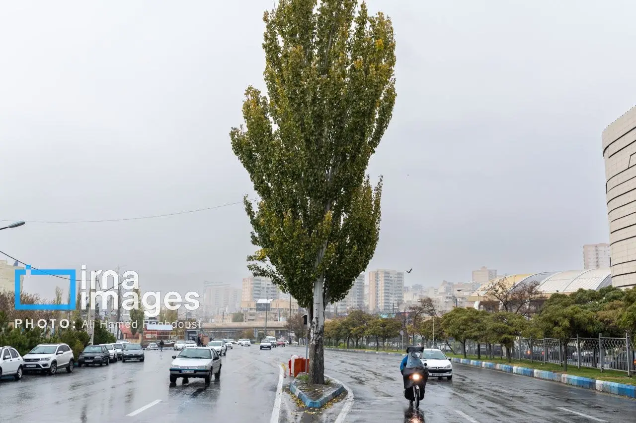 photo_2025-11-17_00-16-31