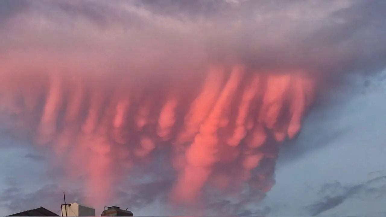 photo_2025-11-13_00-14-33