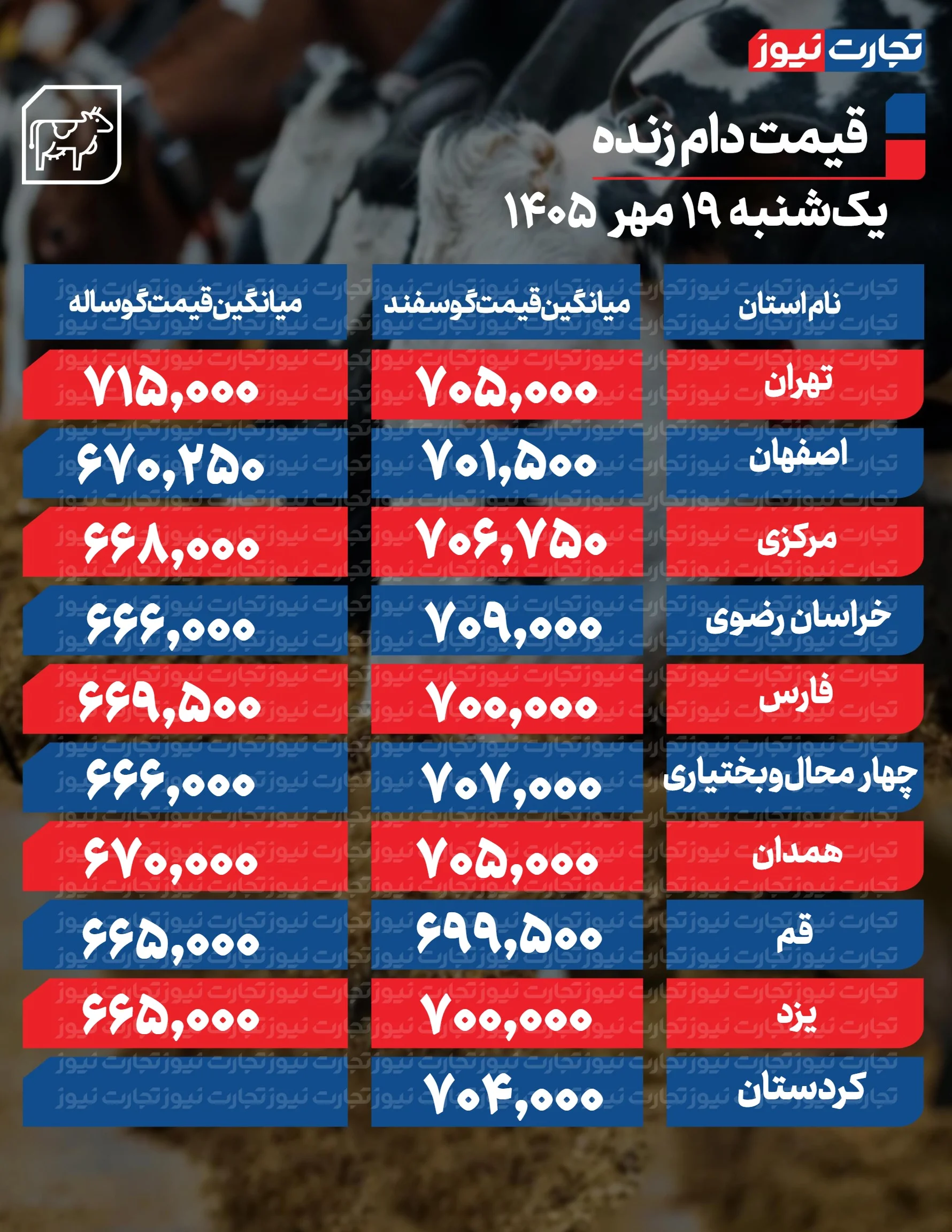 قیمت دام زنده