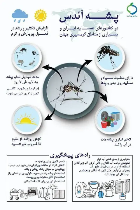 پشه آیٔدس