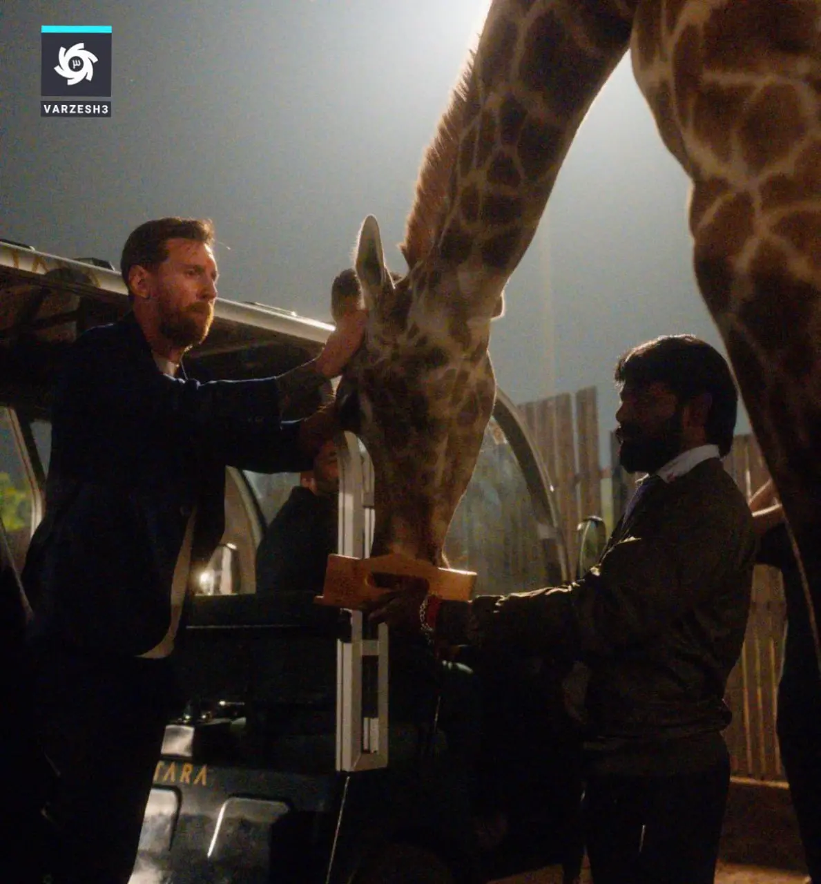 photo_2025-12-16_20-12-15 (2)