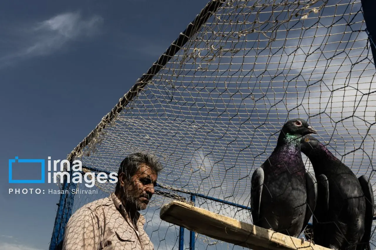 photo_2025-11-18_19-34-59