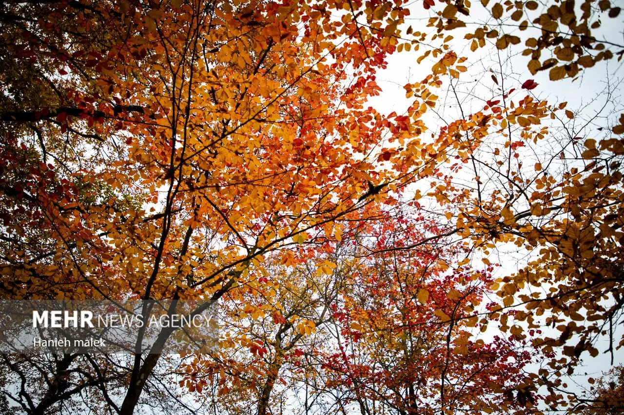 photo_2025-12-18_00-14-01