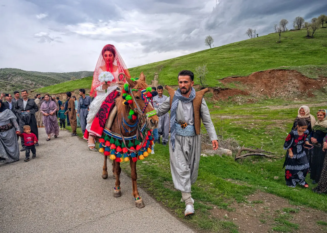 photo_2025-11-25_14-40-45