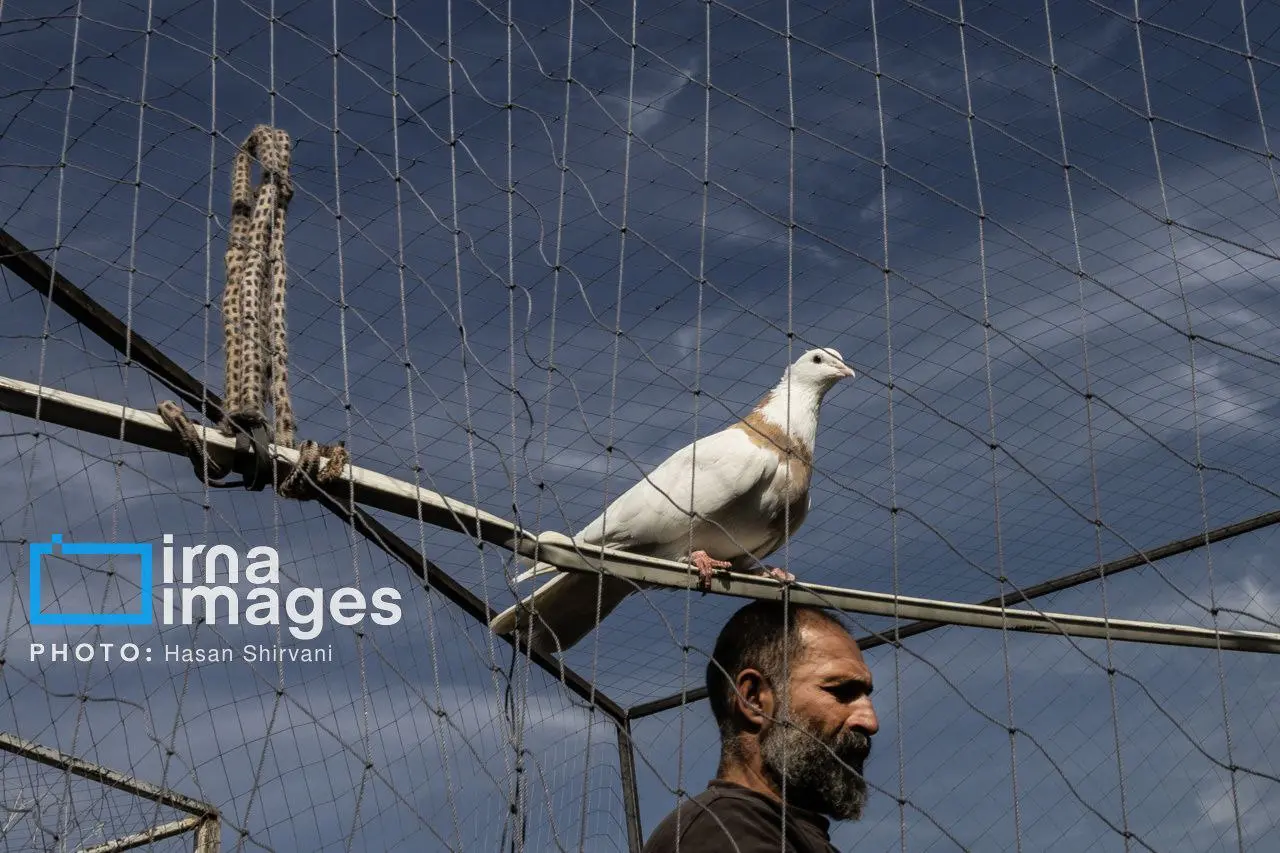 photo_2025-11-18_19-34-56