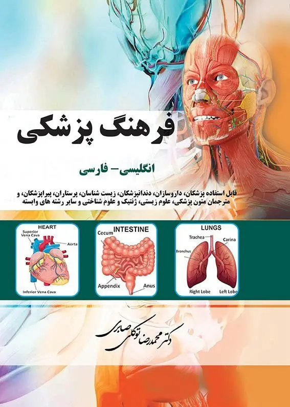 photo_2025-12-29_19-37-21