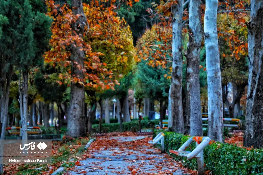 photo_2025-12-13_00-41-34