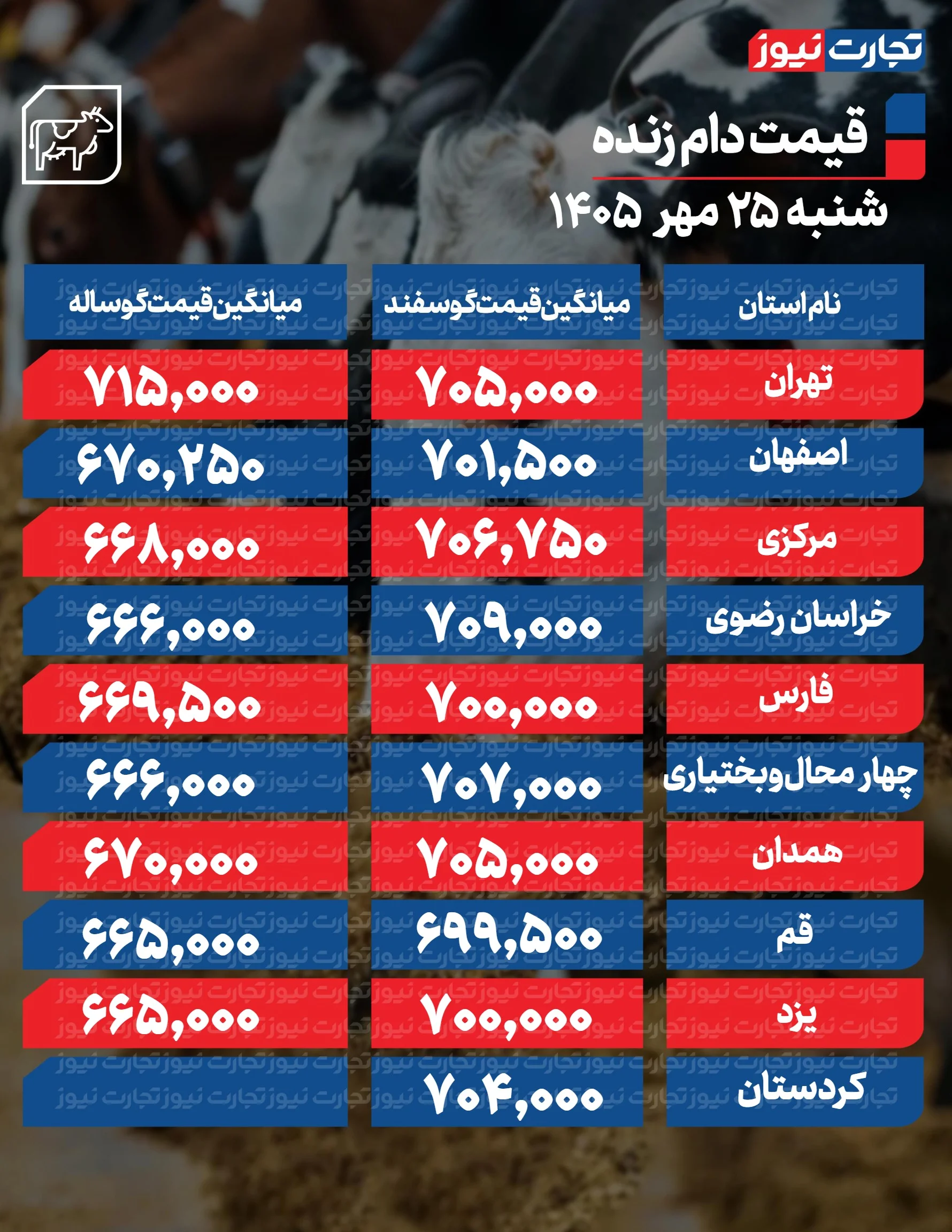 قیمت دام زنده