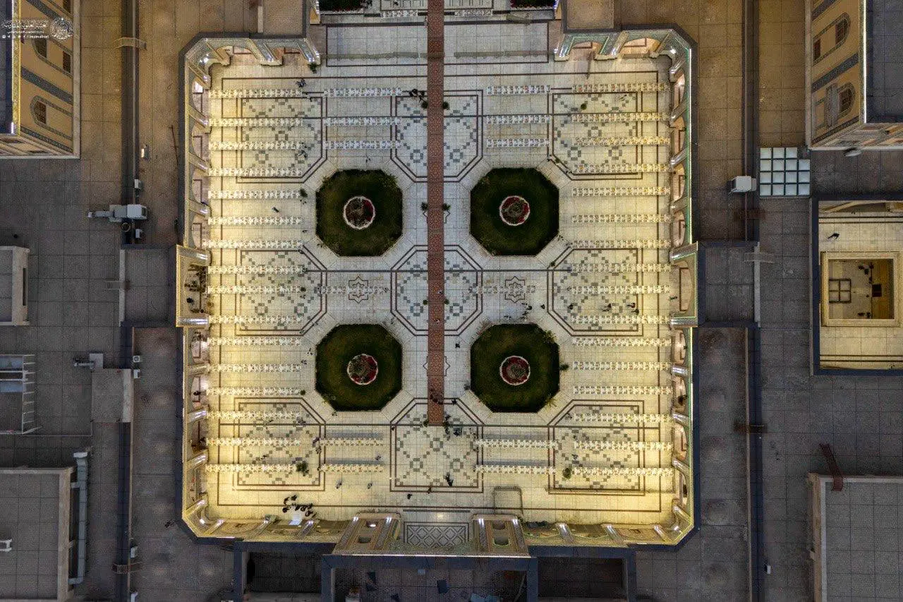 photo_2026-02-21_00-24-35