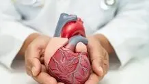 ۵ راهکار ساده برای پیشگیری از بیماری‌های قلبی
