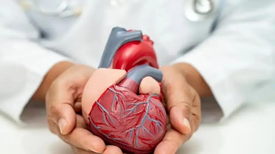 ۵ راهکار ساده برای پیشگیری از بیماریهای قلبی